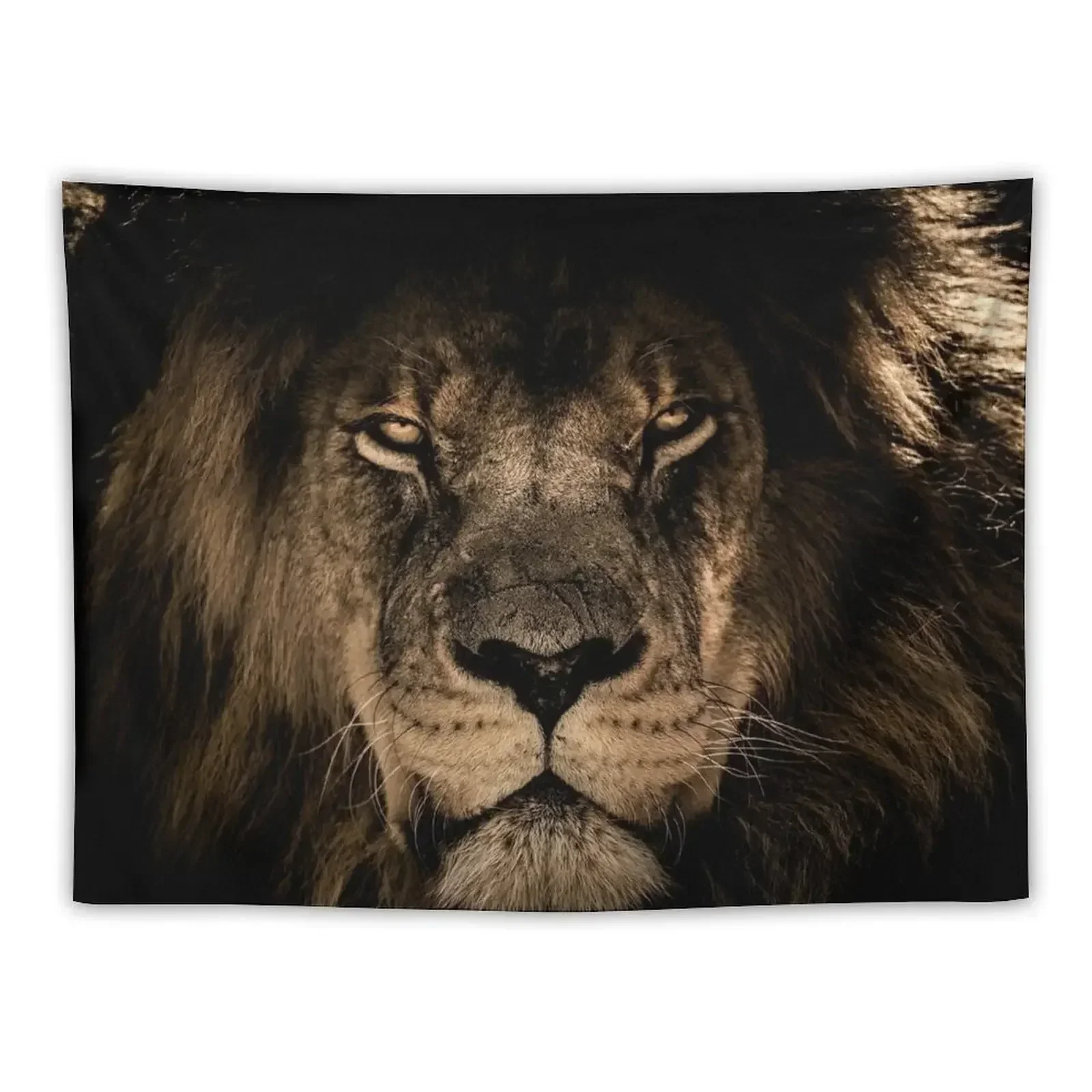 

Lion Tapestry Home Decor Aesthetic Wall Carpet Outdoor Decoration Tapestry