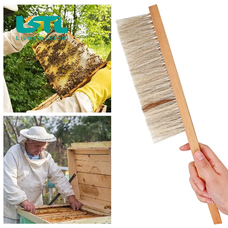 Beehive Cleaning Brush Wooden Double Layer Bee Sweep Beekeeping Tools Single Row Bristles Beekeeper Equipment