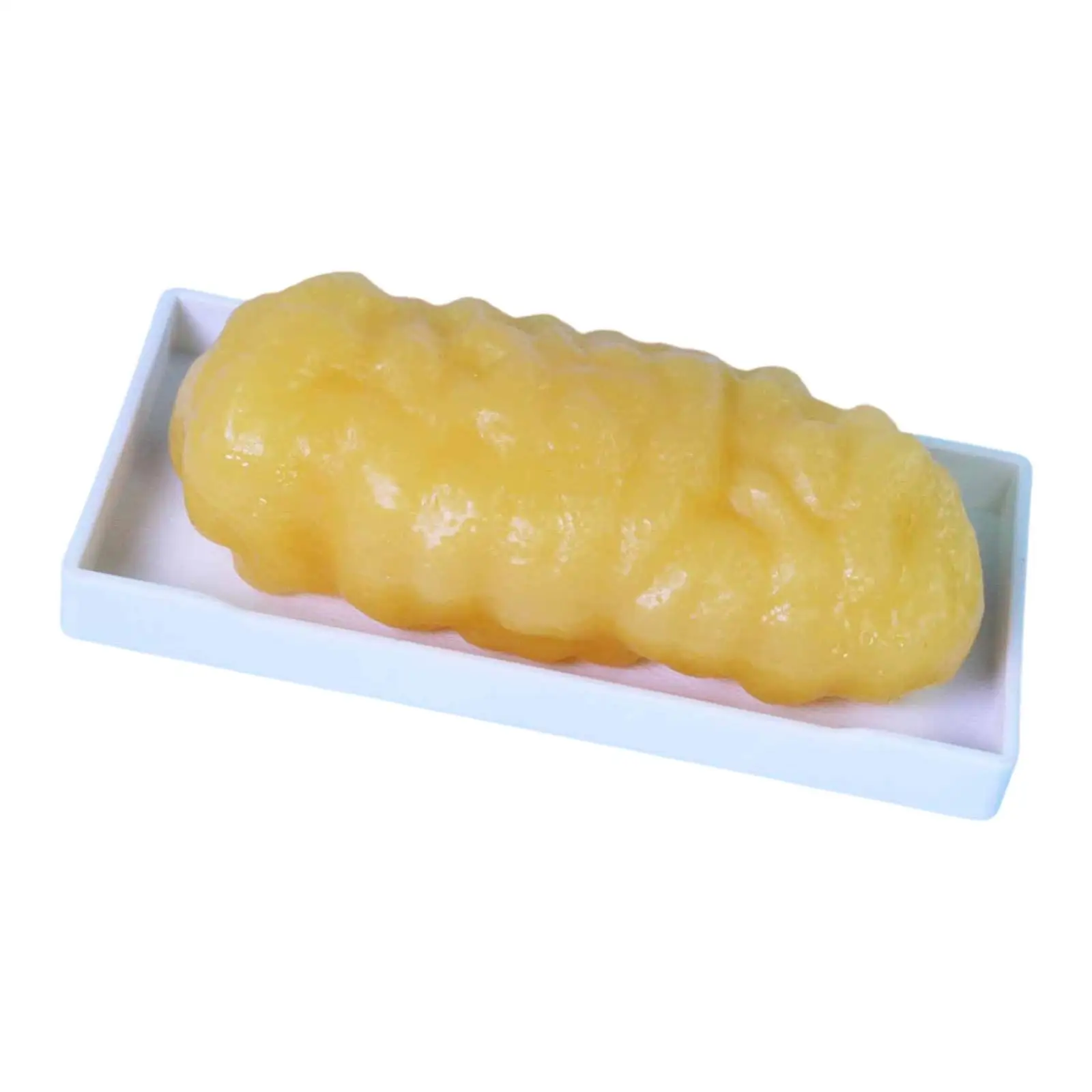 Human Body Fat Imitation Human Simulated Fat Model Nutritionist Easy Carrying Nurse Sturdy Training Institution