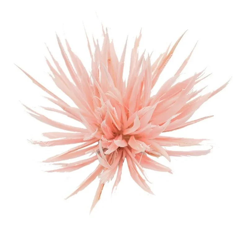 New Feather Single-sided Torn Flower Brooch Women's Jewelry Accessories Pin Fashionable and Personalized Accessories Corsage