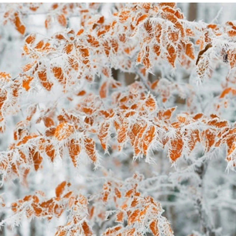 Hota D6 Pro Ac 200W… - image