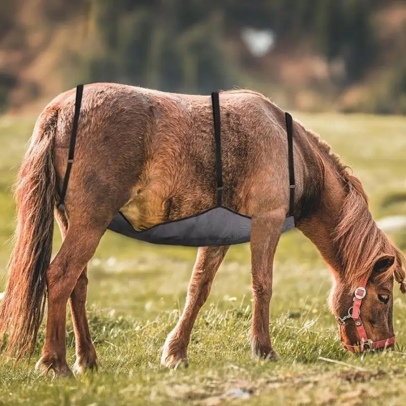 Horse Belly Cover Horse Fly Sheet Belly Guard Chest Protector