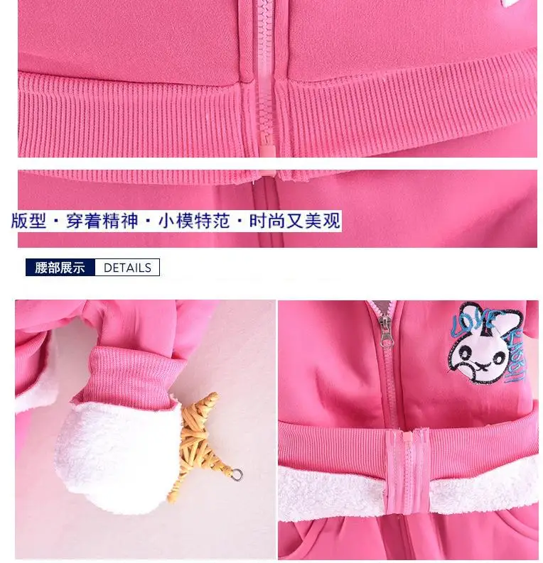 Neue Kinder-Sets Herbst Winter Dicke Plüsch-Baumwollkleidung Junge Mädchen Cartoon Kapuzenjacke+Hose 2-teiliger Anzug Kinder-Trainingsanzug 0-5 Jahre – Detail 19