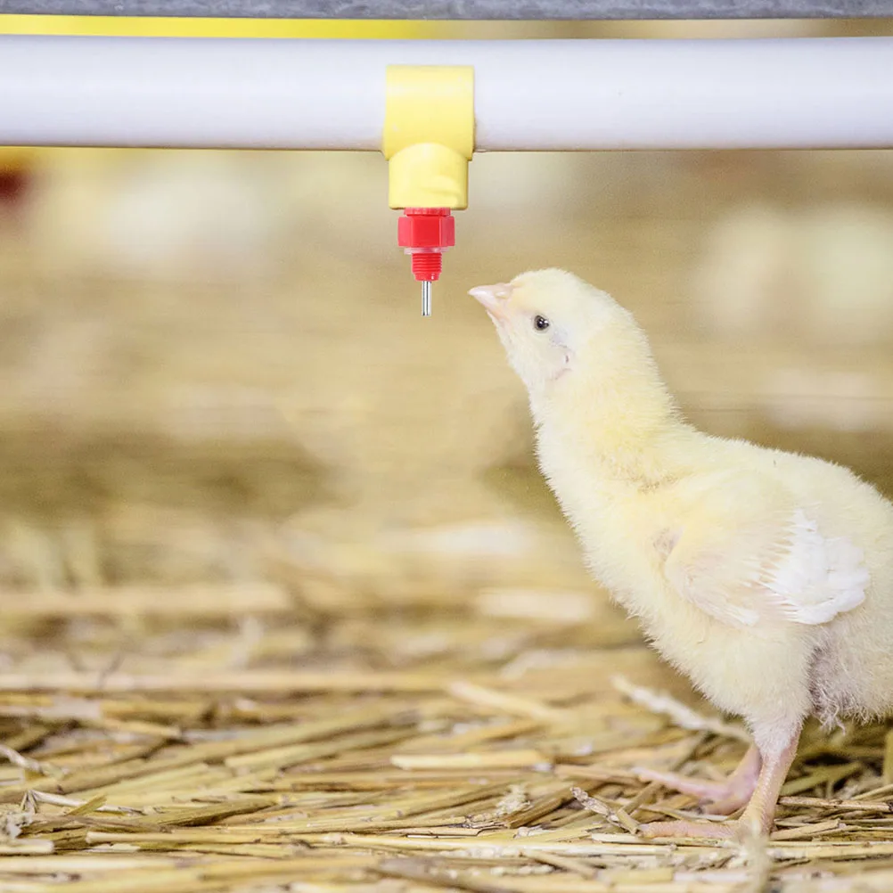 

30Pcs Automatic Chicken Water Nipples Professional Poultry Drinker Suitable for Chicken Quail Pigeon Farm Water Feeder