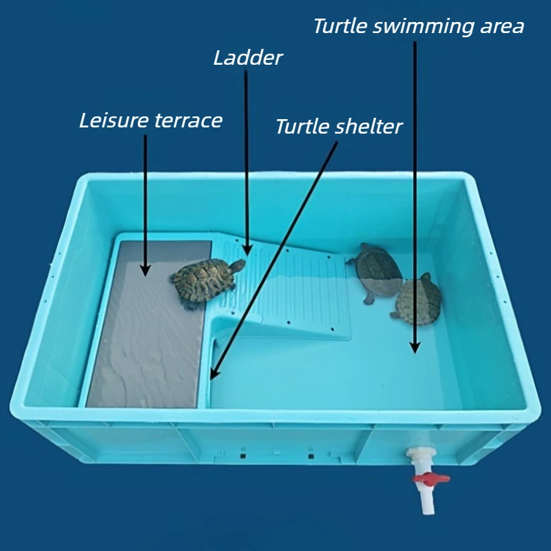 Plastic Turtle Breeding Box with Ladder Climbing Large Space Turtles Terrarium Multifunctional Turtles Aquarium Turtle Kennel