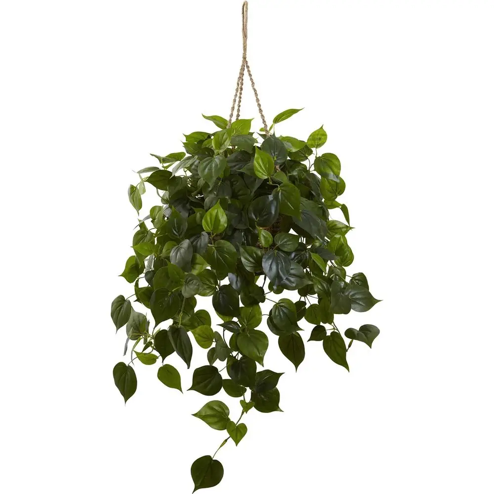 

UV-Resistant Hanging Philodendron Basket for Indoor and Outdoor Use