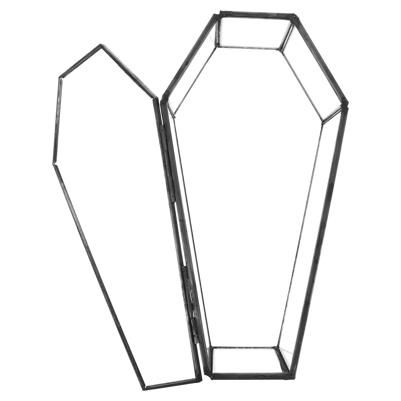 Glass Coffin Display Box Black Halloween Decor Candy Holder Gothic Jewelry Storage Case Small Trinket Box with Hinged Lid Spooky