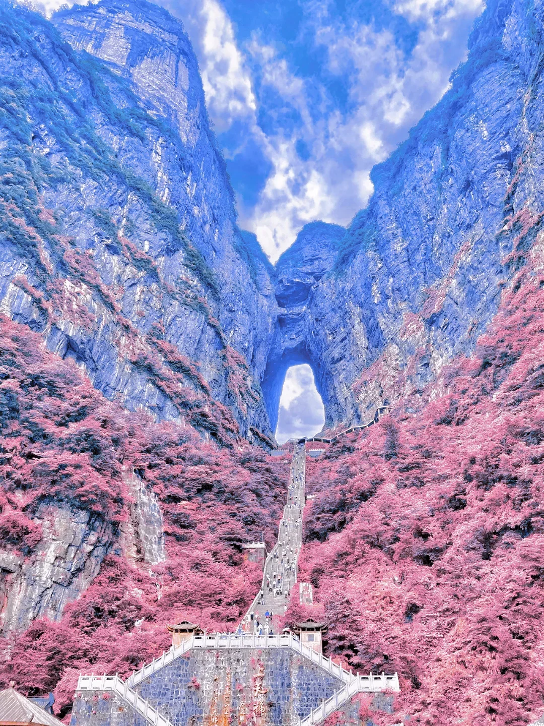 

New Car LCD Digital Cluster For Porsche Cayenne 2011-2017 Virtual Cockpit SpeedMeter Dash Screen Instrument Panel Unit