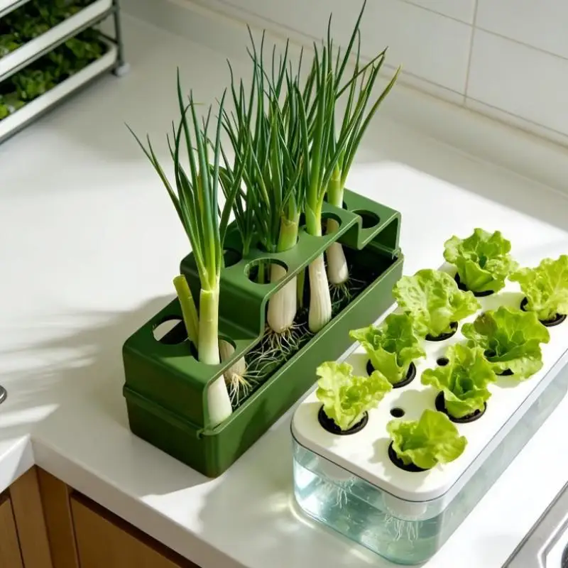 A Planting Device Specifically Designed For Green Onions, Featuring A Hydroponic System That Allows For Repeated Growth