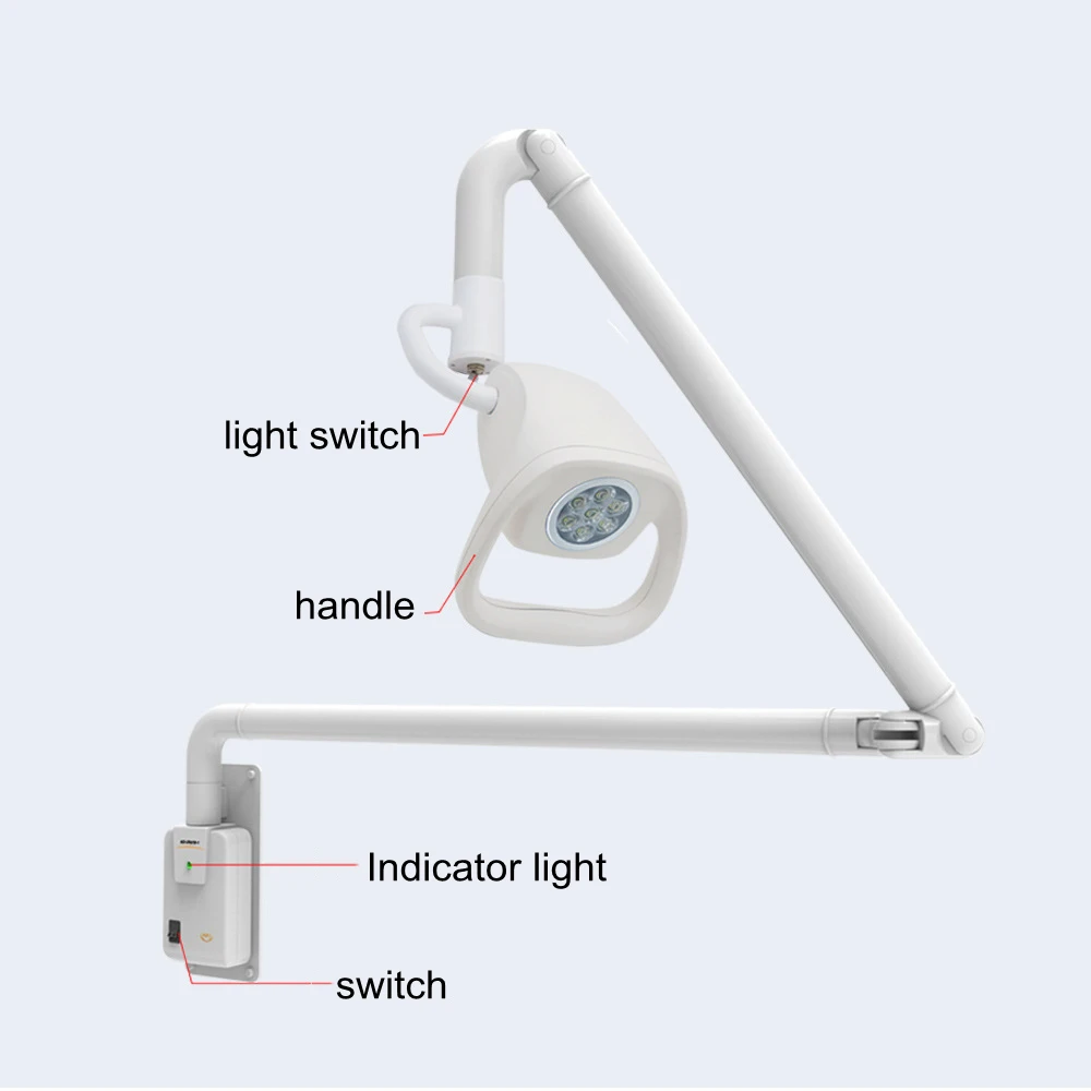 21W LED Auxiliary Operating Lamp 7-Hole Hanging Veterinary Surgical Light Wall-Mounted for Medical Examination CE ISO Electric