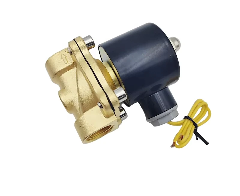 Hot Sale Best Quality Electromagnetic Alternative Advanced High Performance Valve Water DC 12V N/C Valve Air 2W-160-15