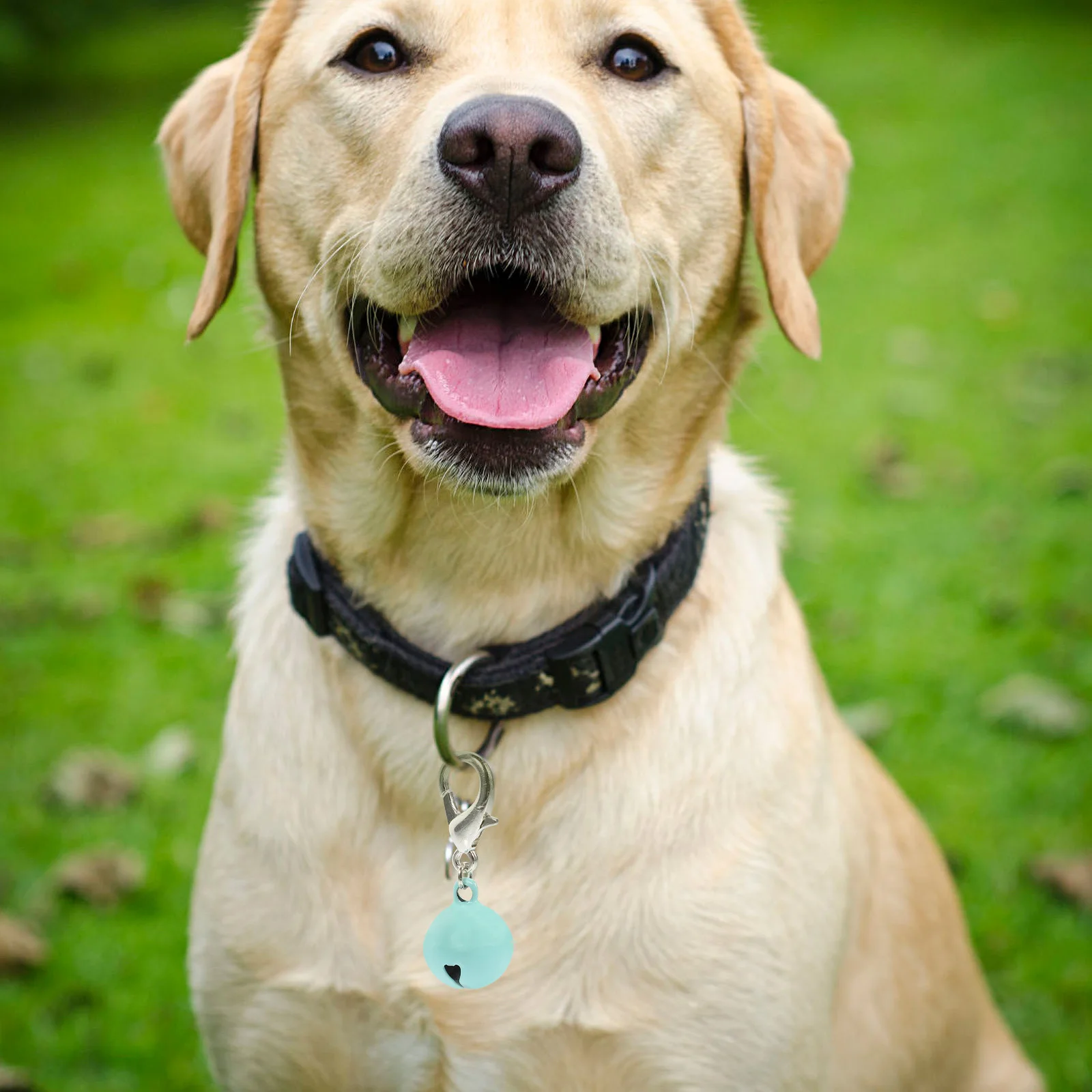 

10pcs Cat Dog Collar Bells Pet Collar Accessories Hanging Bells For Cats Dogs Multi-Function Crafted Holiday Decorative Jingle