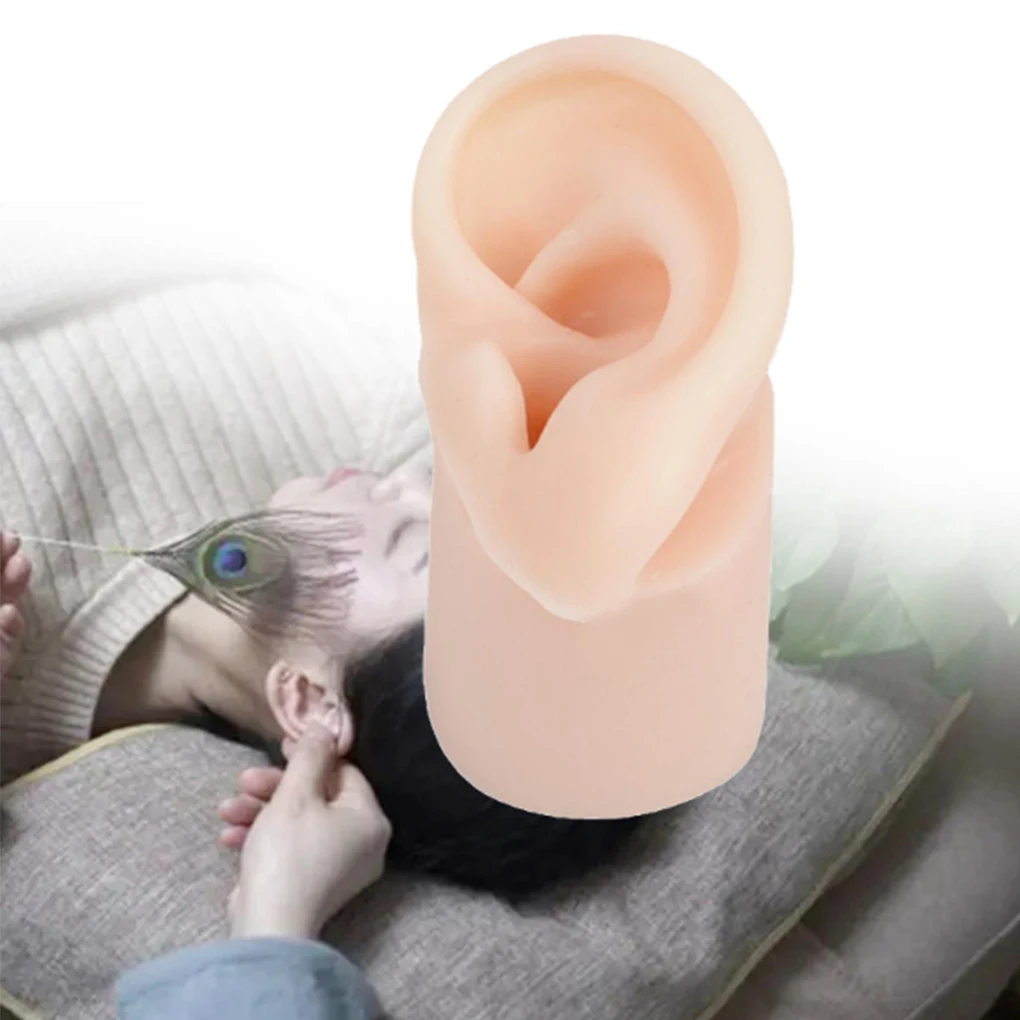 Soft Silicone Ear Model Fake Ear learning Tools Delicate Texture Left