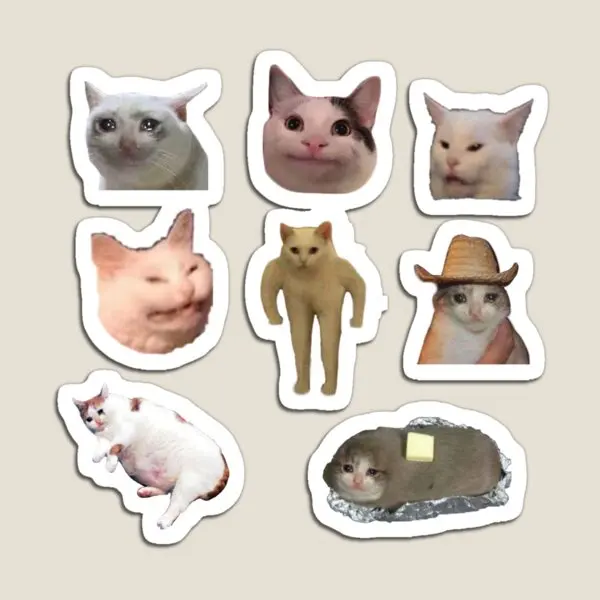 Cat Meme Sticker Bundle  Magnet Kids Cute Toy Holder Stickers Home Baby Refrigerator Funny Decor Children  for Fridge Organizer