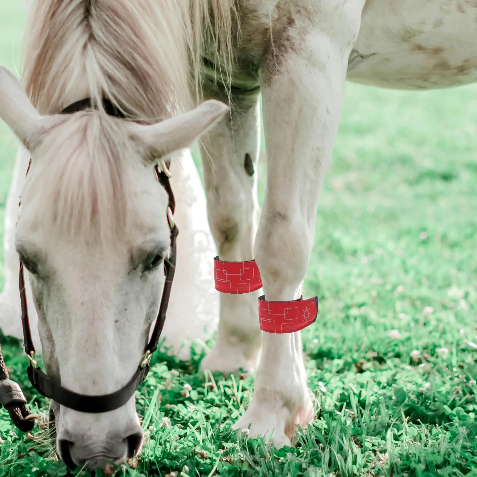 

4pcs Led Horse Ankle Bands Adjustable Leg Wraps High Brightness Usb Rechargeable Reflective Night Safety Armbands For Running