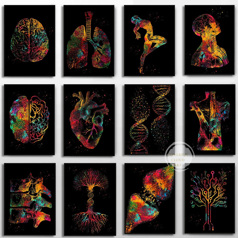 Coração humano cérebro pulmões anatomia arte pintura em tela anatomia músculos esqueleto poster impressões fotos de parede decoração de escritório médico
