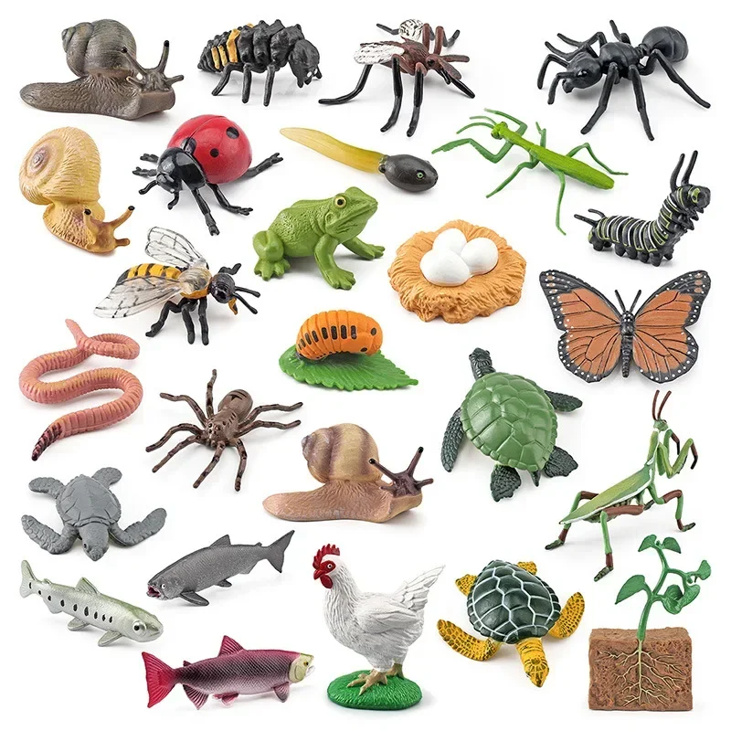 Simulation Mini Animals Growth Cycle Set and Cycle Card Montessori Teaching Aids Frog Turtle Chicken Model Action Figures Toys