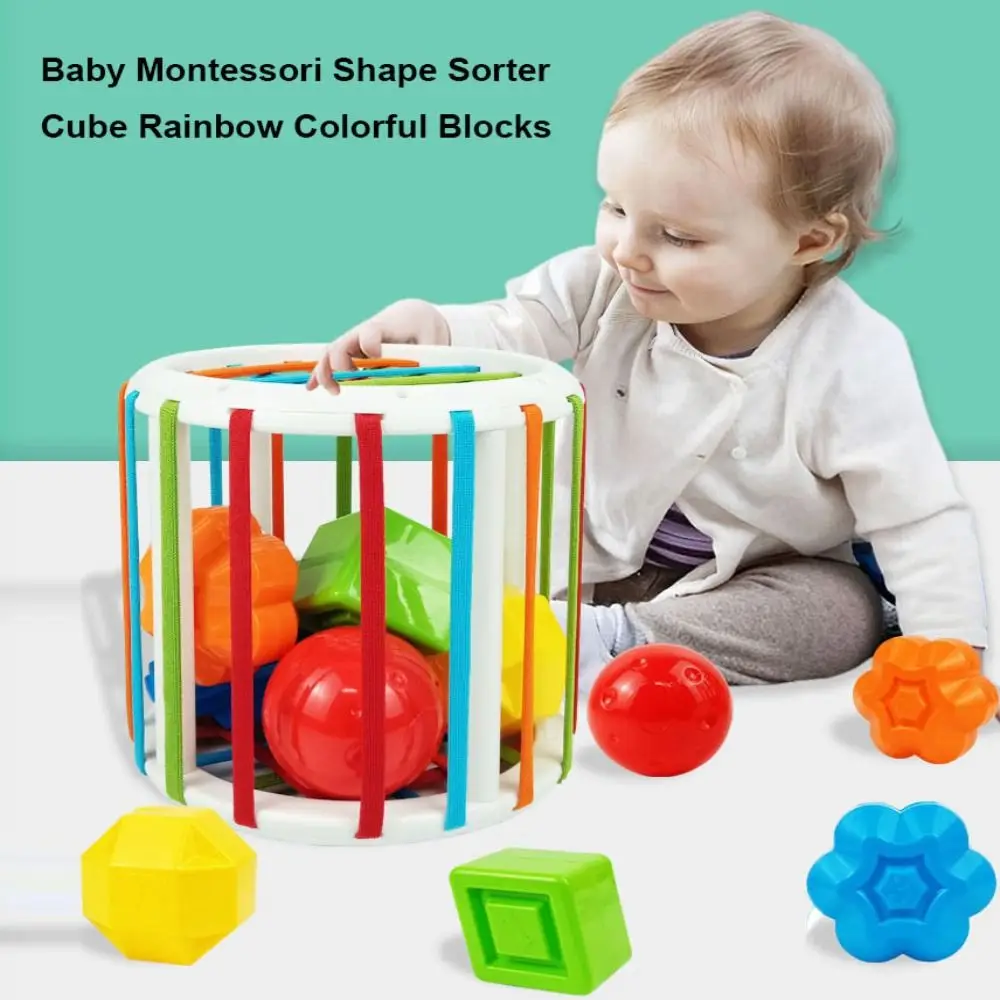 5 stili Baby Montessori Shape Sorter Cube Gioco di smistamento in plastica Arcobaleno Blocchi colorati Educazione precoce