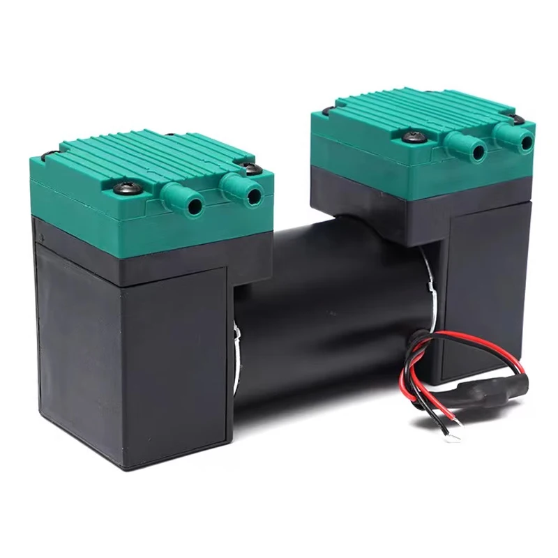 12V 24V 220V 110V Micro pompa per vuoto pompa elettrica silenziosa piccola pompa ad aria doppia testa pompa a membrana 15L/min