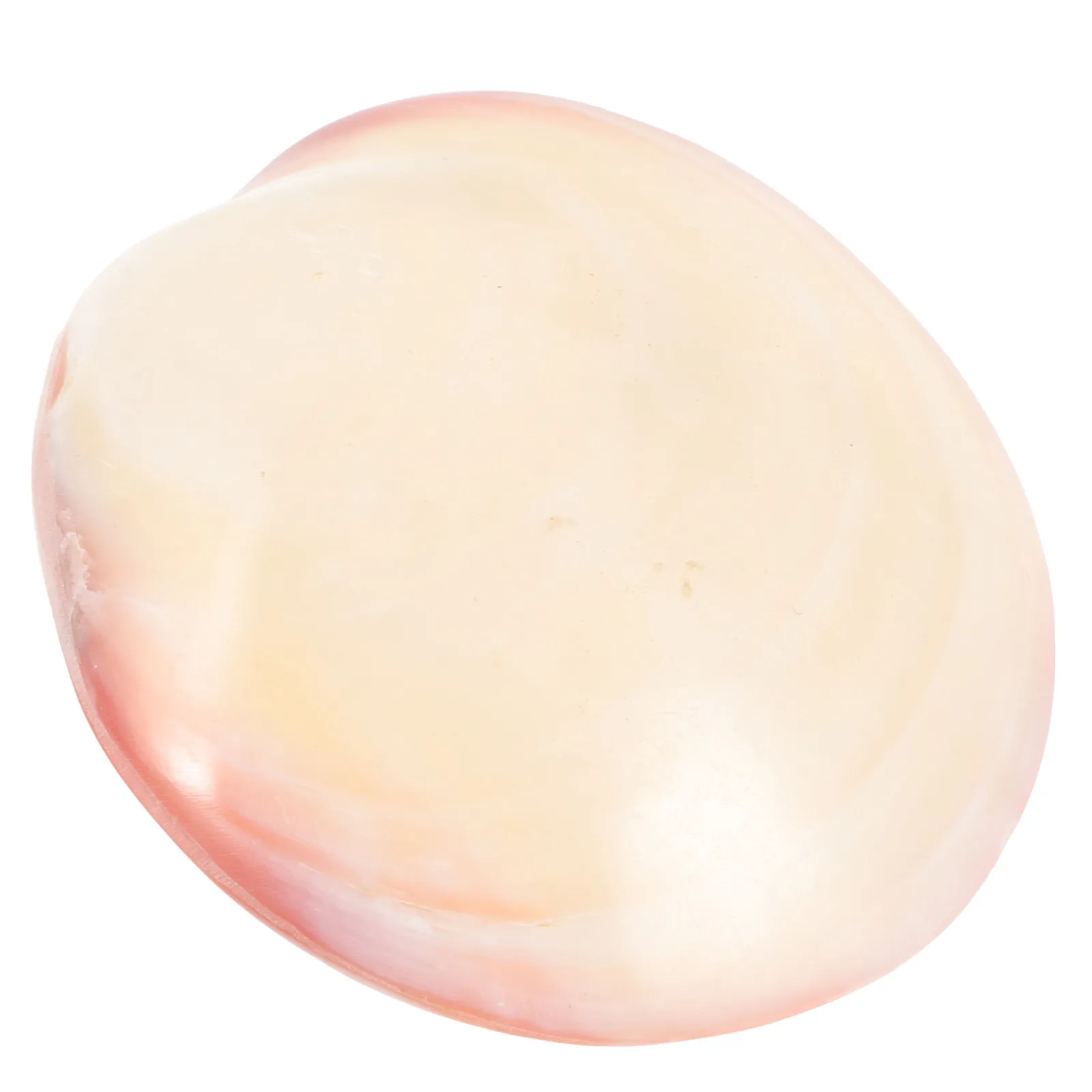 Natural Seashell Jewelry Box Mini Shell Trinket Container for Ear Studs Rings Safe Scratch Free Compact Portable Desktop