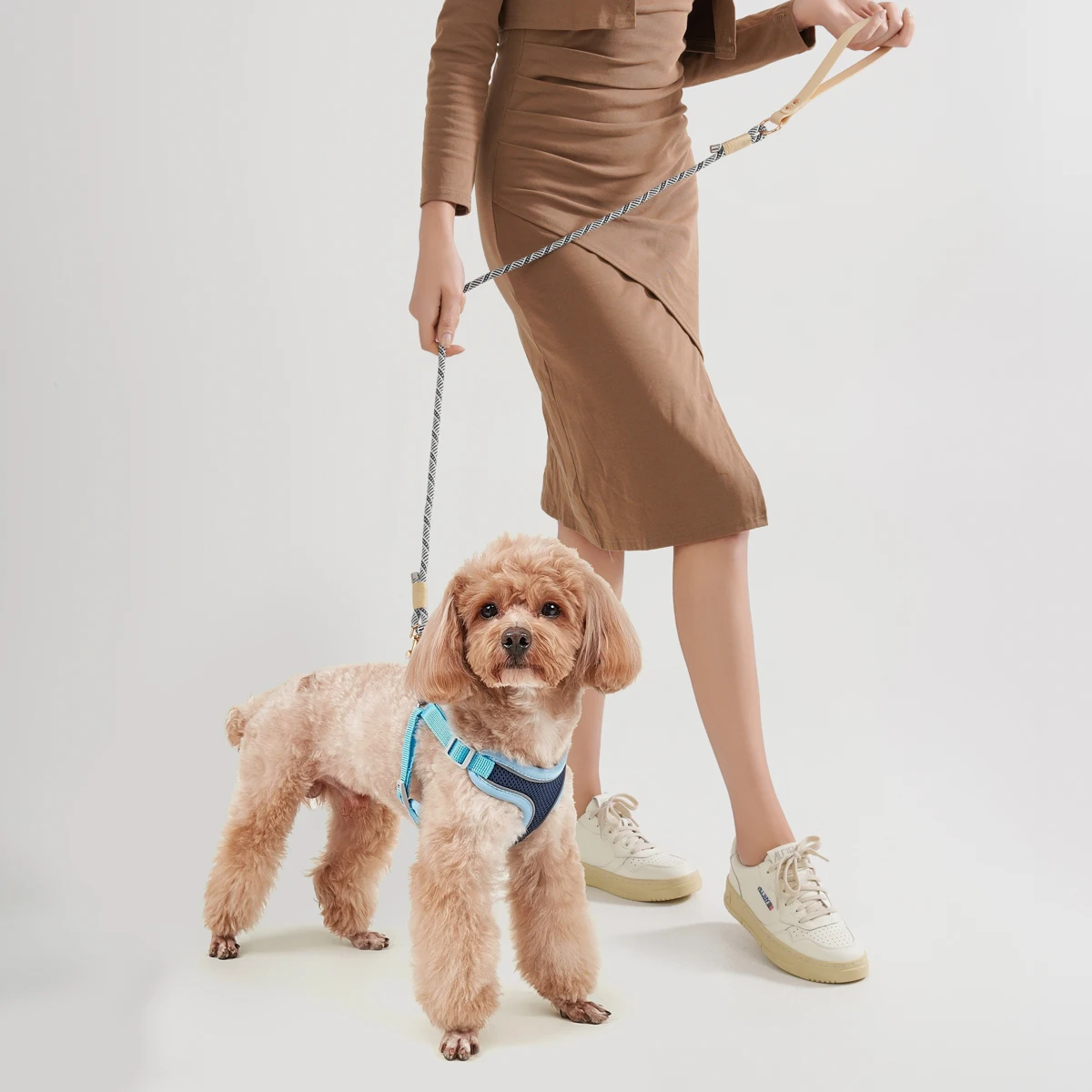 Slip-Nylon-Halsband- und Leinen-Sets, Haustier-Halsring, verstellbares Seil für kleine, mittelgroße und große, einfach zu handhabende Outdoor-Walking-Hunde, 4 Größen – Detail 16