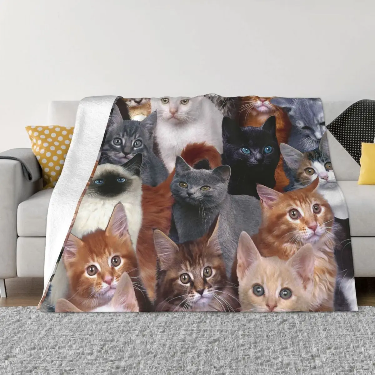 

Cat Lover Animal Pet Cartoon Blankets Fleece Autumn/Winter Multifunction Super Soft Throw Blankets for Home Couch Bedspreads