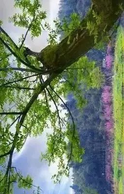 

Brand New 24V 7S5P 29.4V 16000mAh High Power 18650 Lithium Ion Battery with BMS for Electric Bicycles, Electric Boats, Tricycles