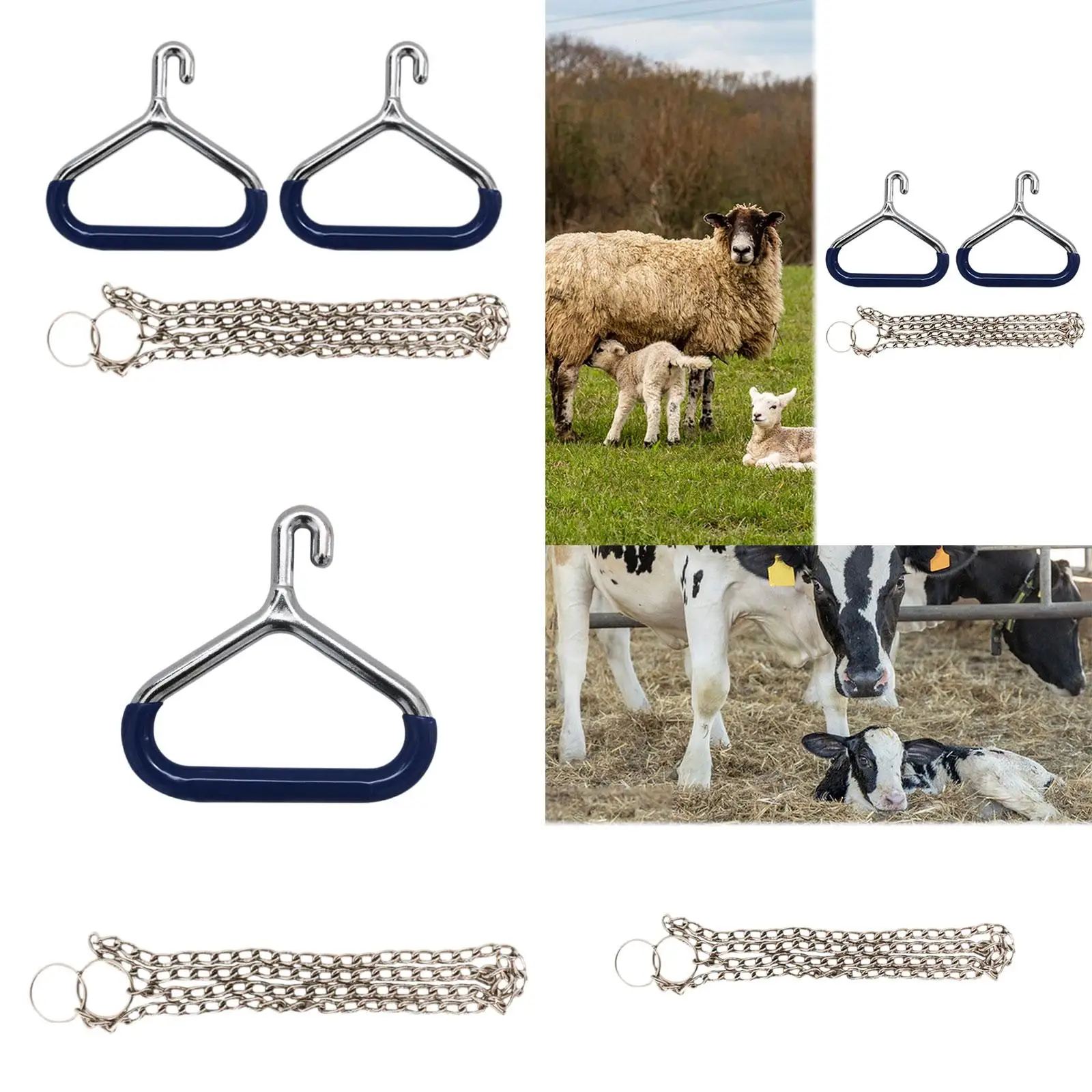 Aparato Ob de vaca, accesorios de acero inoxidable, herramienta veterinaria, cadena de 60 pulgadas