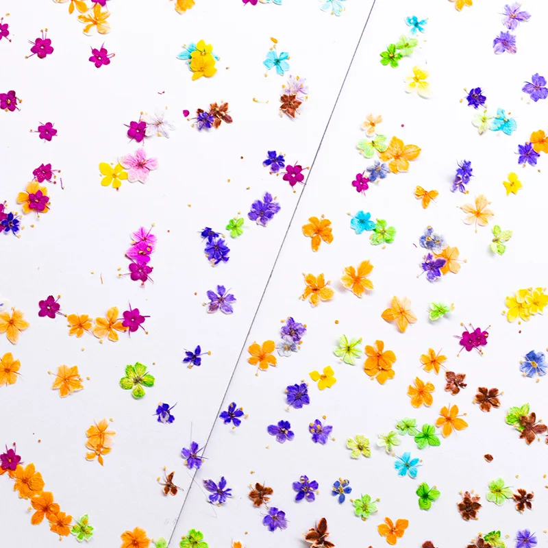 24 Stück, gepresste blaue Trockenblumen aus Spitze für DIY-Harzschmuck, Lesezeichen, Grußkarten, Scrapbooking, Aromatherapie, Kerzen, Bastelzubehör – Detail 6
