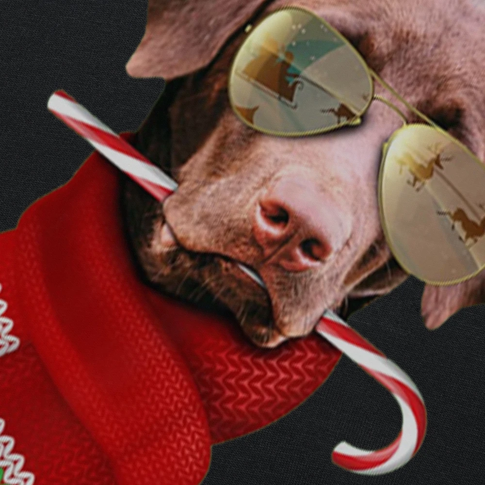 Funny Chocolate Labrador Christmas Dog Lovers Sunglasses T Shirts Streetwear Birthday Gifts Summer Style T-shirt Mens Clothing