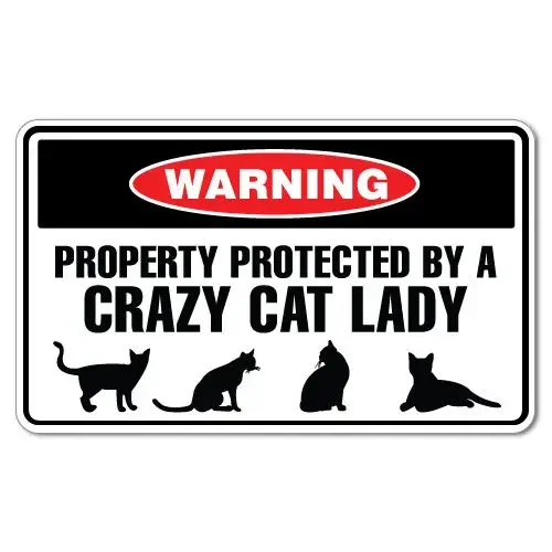 Warning Protected By Crazy Cat Lady Sticker Creative Waterproof Sunscreen Bumper Scratch Cover RV Decor