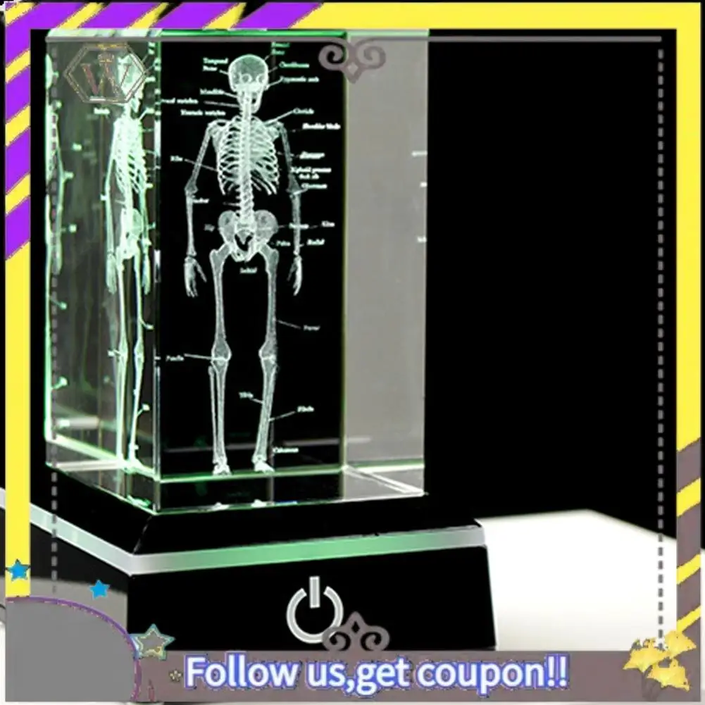 

New 3D Laser Engraved Human Skeletal Crystal Cube Figurines, Science Gifts, Organ Anatomical Model Paperweight