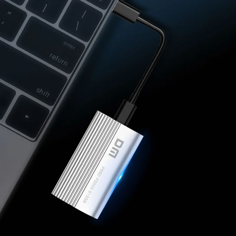 DM External SSD 256GB 512GB 1TB Portable External hard drive hdd for laptop with Type C USB 3.1 FS500