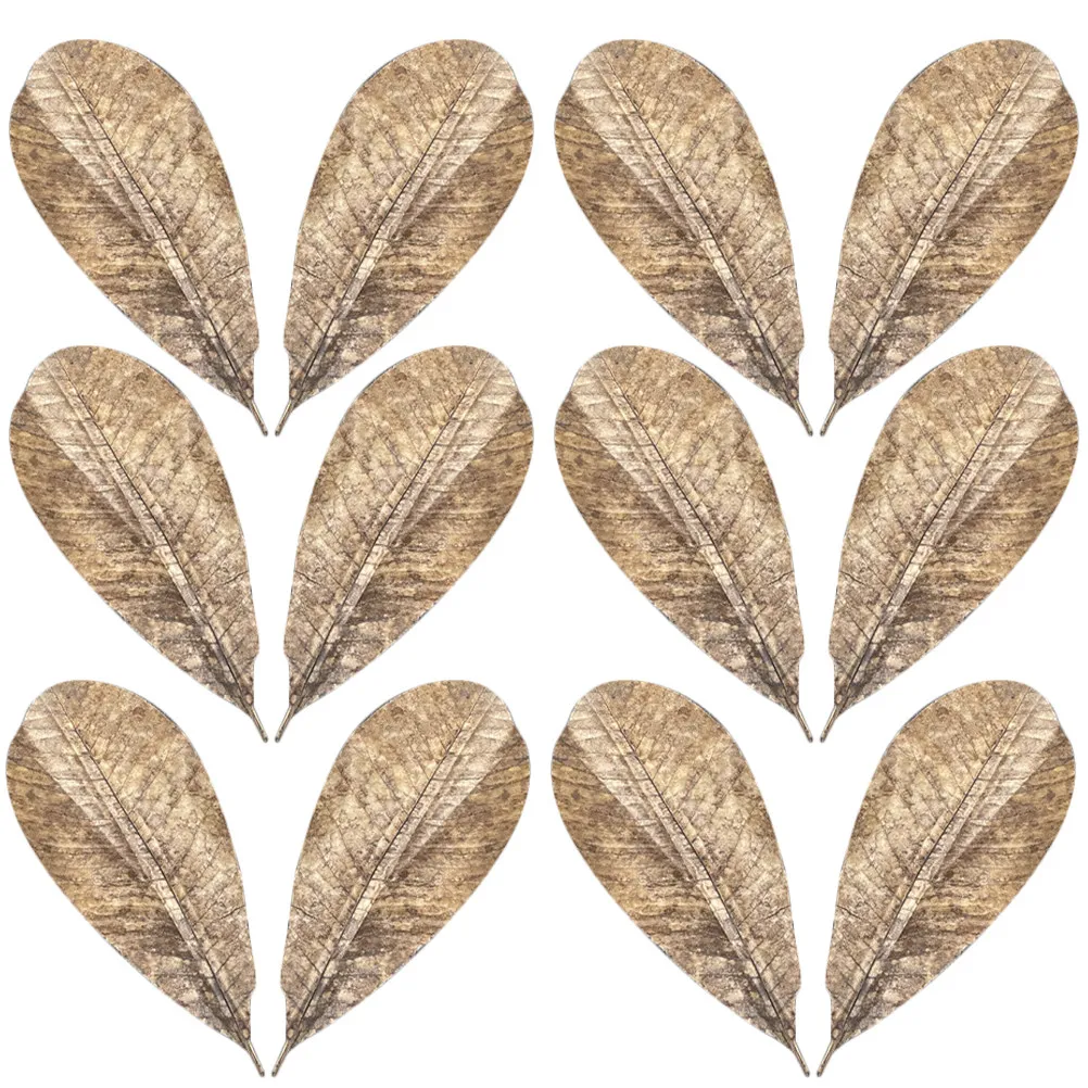 20Pcs Sushi Plate Leaf Decor Dried Natural Leaf Embellishment Japanese Tableware Styling Prop Food Photography Backdrop Sashimi