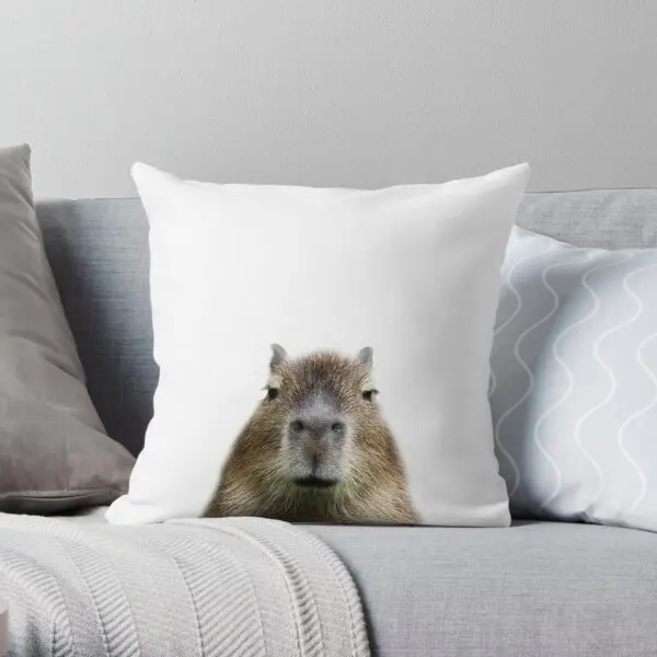 

Capybara Printing Throw Pillow Cover Throw Home Office Decor Bedroom Fashion Hotel Bed Wedding Pillows not include One Side