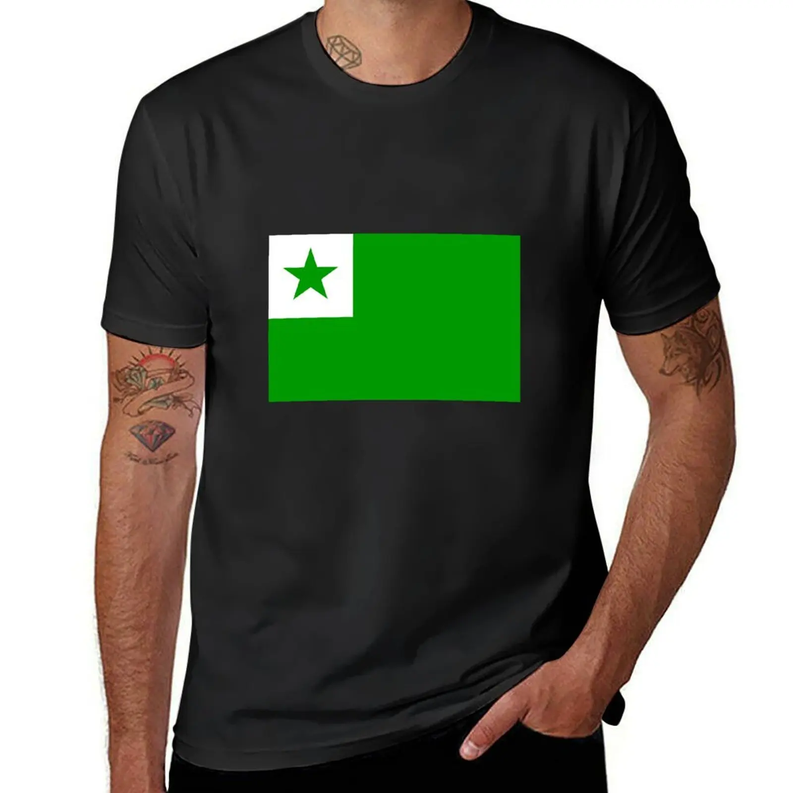 Official Esperanto Flag T-Shirt anime summer top boys animal print men graphic t shirts