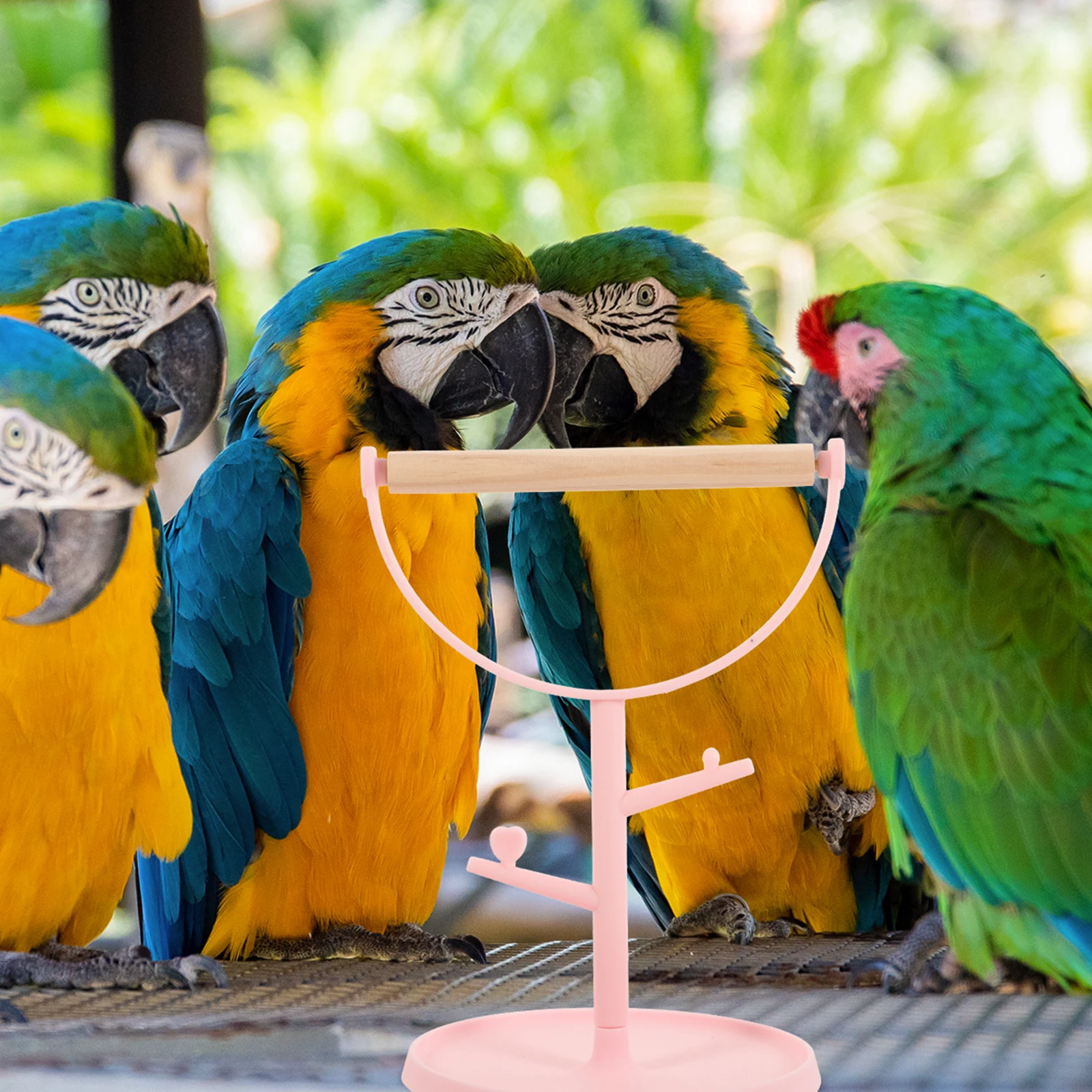 

Sturdy Training For Parakeets Conures Lovebirds Cockatiels Desktop Perch Stable Base Portable Wooden Plastic Bird Stand Indoor