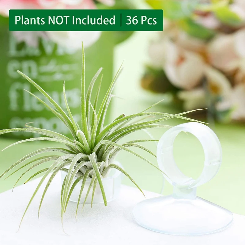 36 Pcs Air Plant Stand,Pot Tillandsia Air Plant Holder With Suction Cup,For Plants Hanging On Glass(Plants Not Included)