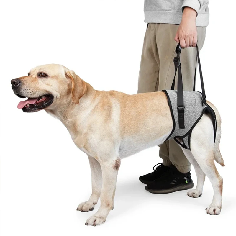 Adjustable Dog Sling Back Legs Hip Support Pet Dogs Aid Assist Tool For Aid And Ligament Rehabilitation Lift Harness