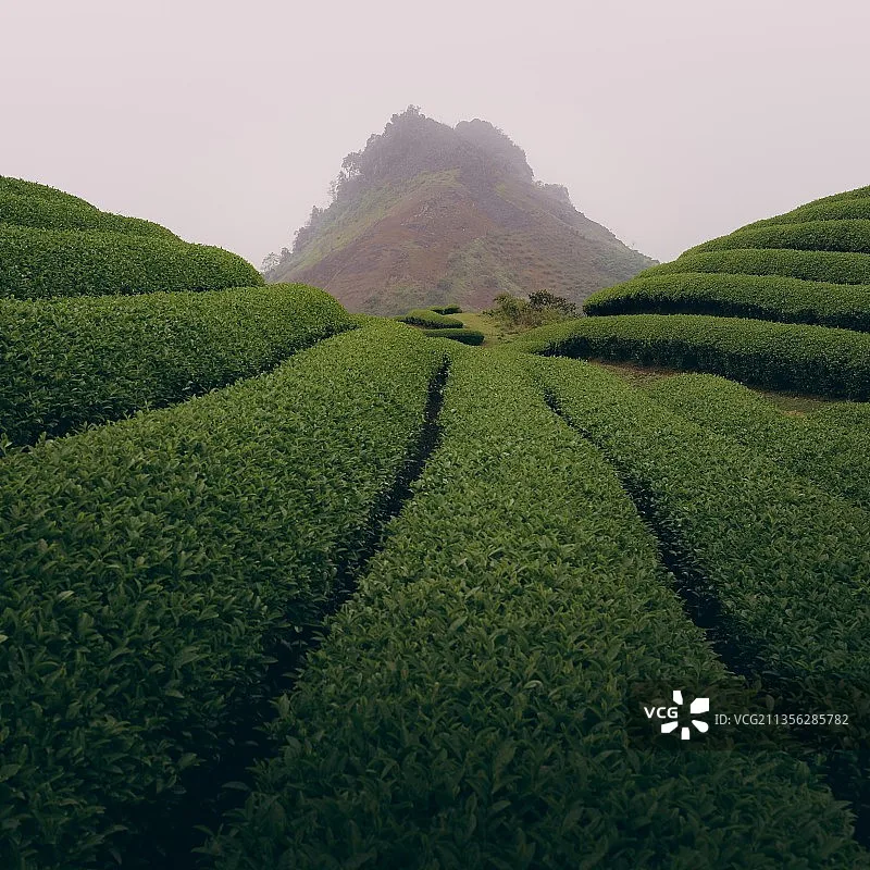 

USB-адаптеры Flywoo для FPV Drone DIY типа C «папа» — «мама» типа C и «мама» Micro Male — «мама» типа C