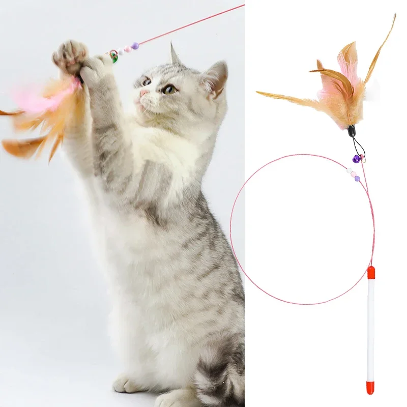 

Interactive Cat Toy Bite-Resistant Cat Teaser Stick with Bell, Feather for Kitten Playing Chase Exercise Teaser pet products