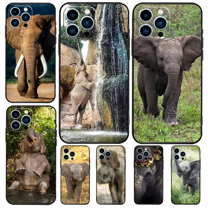 African Elephant Silhouette Case For Samsung Galaxy S24 Ultra S20 S21 S22 S23 Plus S9 S10 S24 FE S25 Ultra Cover Coque