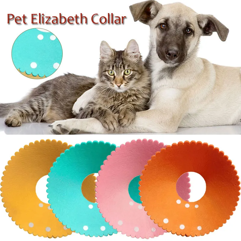 Cat Recovery Collar Wound Healing Protection Elizabethan Collar Surgery Anti-Lick Cat Collar Anti-Bite Pet Cat Accessories