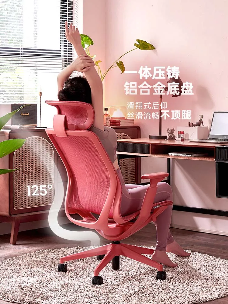 Study Comfortable Sedentary Ergonomic Computer Chair