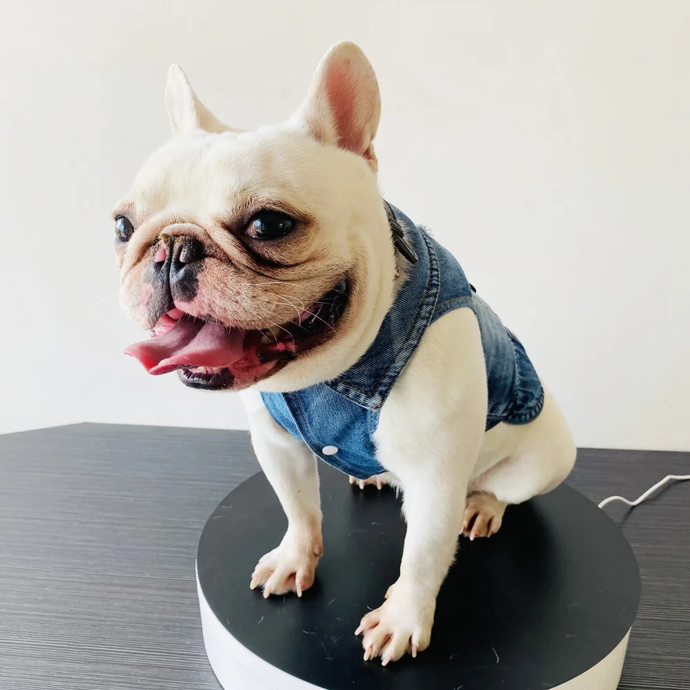 Pet Dog Clothes Denim Dog Jacket Jean Breathable Puppy Clothing Outfits Vest for Small Large Dogs Chihuahua French Bulldog