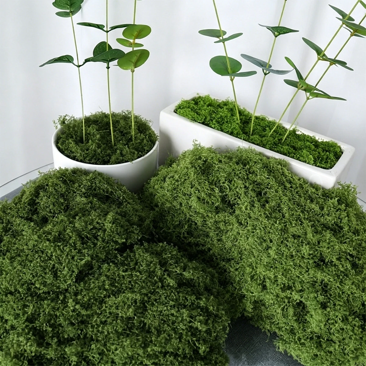 Sphagnum Moss Dry - 30/50/100g Groen Nepmos DIY Ambachten Gras