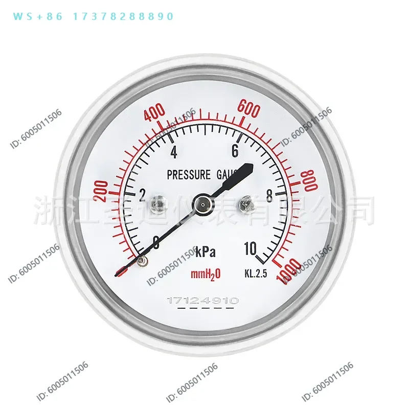 Axial borderless membrane box gauge YE60Z axial precision gauge seismic  anti-corrosion
