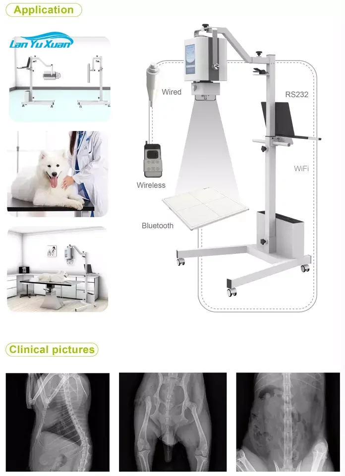 Portable Digital X-ray Machine Veterinary Xray System Equipment For Veterinary Or Human