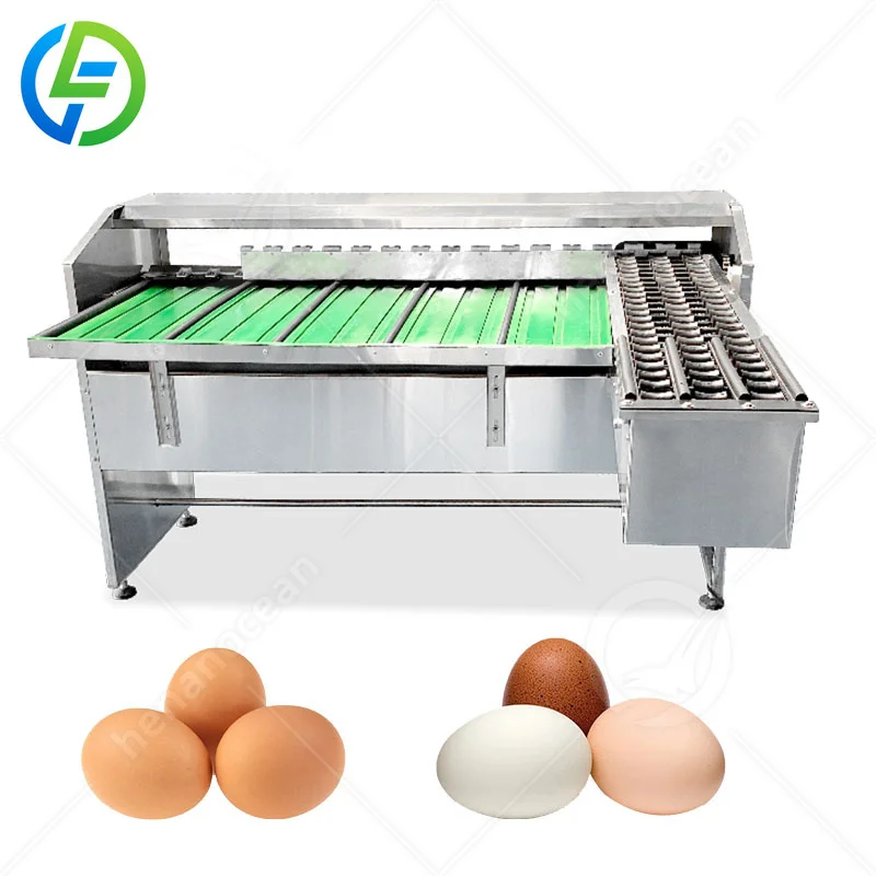 FOODLINE Customized Automatic Small Egg Size Weight Grading Select Grader Egg Sorting Machine