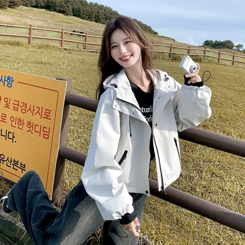 سترة نسائية قصيرة بغطاء للرأس محظورة الألوان لربيع 2025 فاخرة غير رسمية فضفاضة تناسب أنيقة صغيرة الحجم ودية